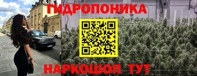 крисы Ливны