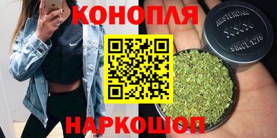 крисы Ливны
