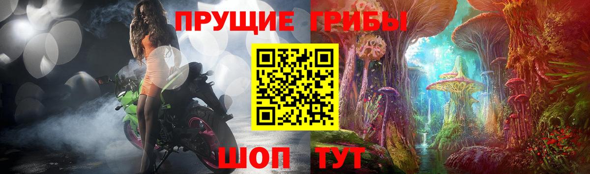 где можно купить   Вход с VPN  Усть-Джегута  Галлюциногенные грибы Cubensis 